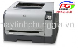 Sửa máy in HP Color Cp1515n