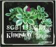 Sửa Thẻ nhớ Kingston CF 8GB