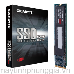 Sửa SSD GIGABYTE M.2 PCIe 256GB