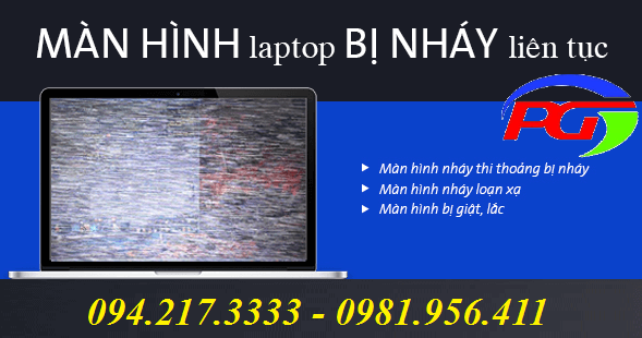  màn hình laptop bị muỗi 