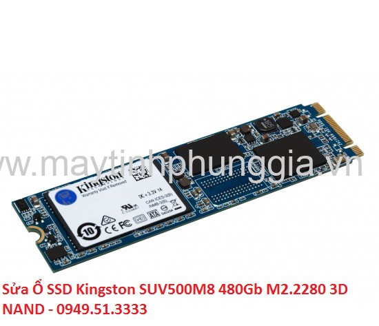 Mua Bán Sửa Ổ SSD Kingston SUV500M8 480Gb M2.2280