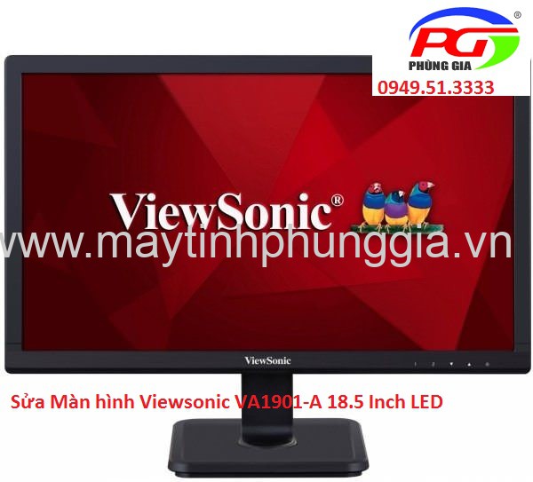 Sửa Màn hình Viewsonic VA1901-A 18.5 Inch LED