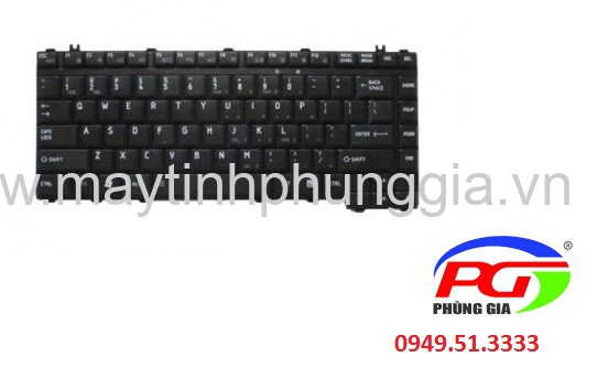Thay Bàn phím Laptop Toshiba Satellite L455, L450, L450D, L455D