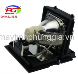 Thay bóng đèn máy chiếu Infocus IN5532