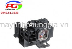 Thay bóng đèn máy chiếu NEC NP3250G2