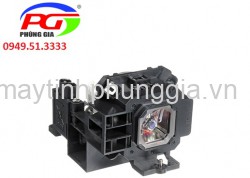 Thay bóng đèn máy chiếu NEC NP-U250XG