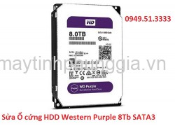 Địa Chỉ Sửa Ổ cứng HDD Western Purple 8Tb SATA3