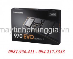 Mua Bán Sửa Chữa Ổ SSD Samsung 970 Evo 250Gb M2.2280