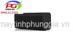 Sửa Loa không dây Braven 770