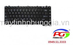 Thay Bàn phím Laptop Toshiba Satellite L455, L450, L450D, L455D