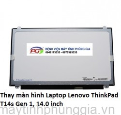 Thay màn hình Laptop Lenovo ThinkPad T14s Gen 1, 14.0 inch