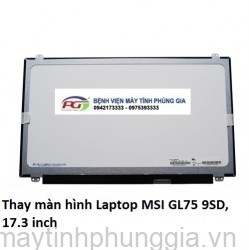 Thay màn hình Laptop MSI GL75 9SD, 17.3 inch