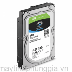 Sửa Ổ cứng Seagate Skyhawk Surveillance 6Tb 5400rpm 256Mb