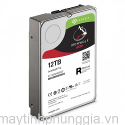 Sửa Ổ cứng HDD Seagate IronWolf Pro 12Tb 6Gbs 256MB