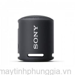 Sửa Loa không dây Sony SRS-XB13/BC E