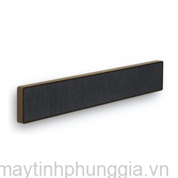 Sửa Loa Soundbar B&O Beosound Stage Silver