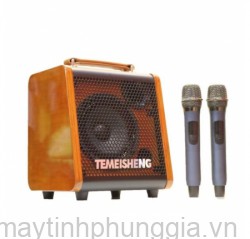 Sửa LOA KARAOKE MINI TEMEISHENG JT 0653