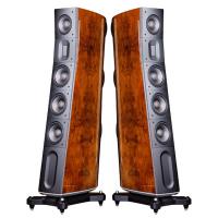 Sửa Loa Raidho D-3.1