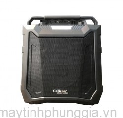 Sửa LOA DI ĐỘNG MINI CALIANA DE06B