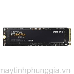 Sửa SSD Samsung 970 Evo Plus 250GB M.2 NVMe