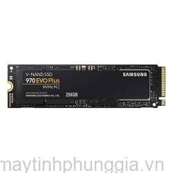 Sửa SSD Samsung 970 Evo Plus 250GB M.2 NVMe