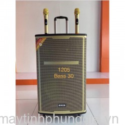 Sửa LOA KARAOKE BASS 30 BNIB 1205