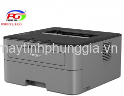 Sửa Máy in laser Brother HL 2170W