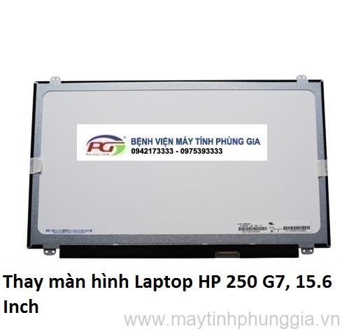 Thay màn hình Laptop HP 250 G7, 15.6 Inch