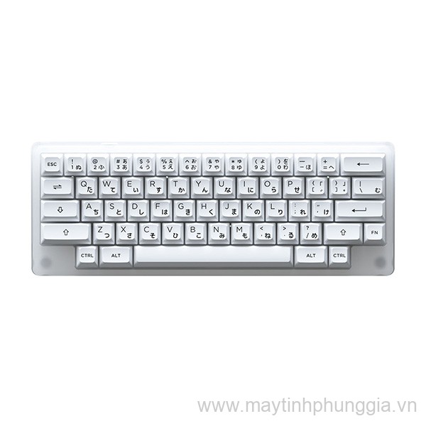 Sửa Bàn phím cơ AKKO ACR59 White Akko CS Jelly White Switch