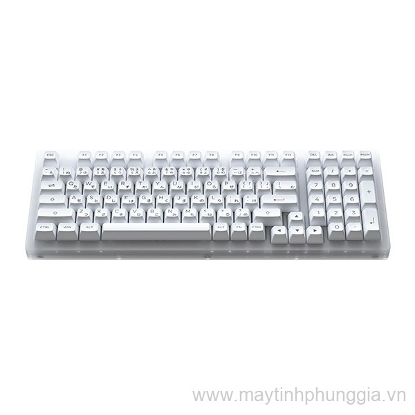 Sửa Bàn phím cơ AKKO ACR98 White Akko CS Jelly White Switch