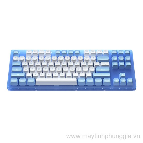 Sửa Bàn phím cơ AKKO ACR87 Blue Akko CS Jelly Blue switch