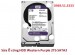 Sửa Ổ cứng HDD Western Purple 2Tb SATA3 5400rpm